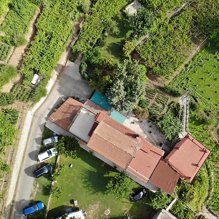 טרמונטי Agriturismo Mare E Monti מראה חיצוני תמונה
