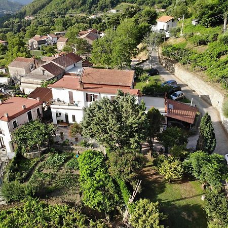 טרמונטי Agriturismo Mare E Monti מראה חיצוני תמונה