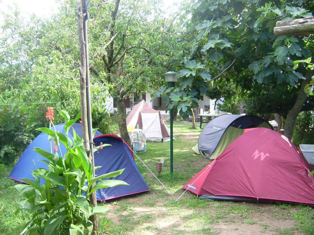 בית הארחה טרמונטי 	Agriturismo Mare E Monti מראה חיצוני תמונה