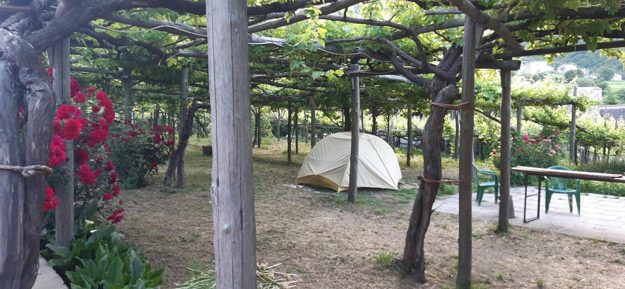 בית הארחה טרמונטי 	Agriturismo Mare E Monti מראה חיצוני תמונה