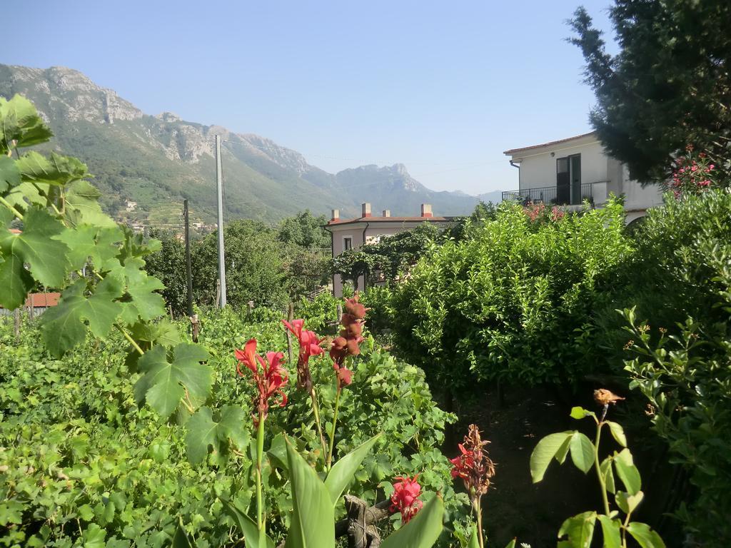טרמונטי Agriturismo Mare E Monti מראה חיצוני תמונה
