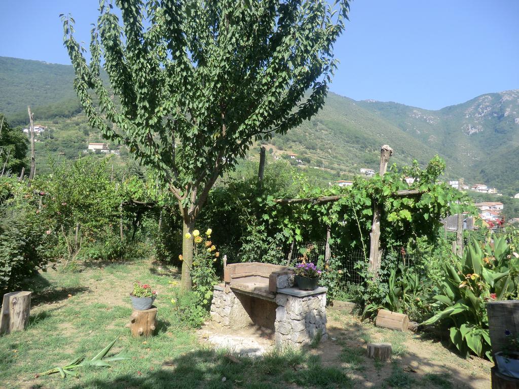 טרמונטי Agriturismo Mare E Monti מראה חיצוני תמונה