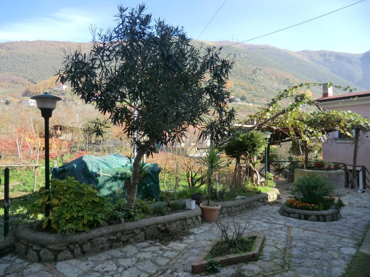 טרמונטי Agriturismo Mare E Monti מראה חיצוני תמונה
